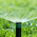Irrigation Backflow Testing by Express Backflow Testing