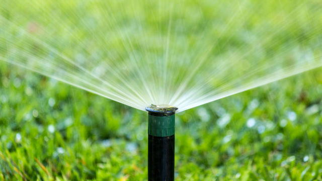 Irrigation Backflow Testing
